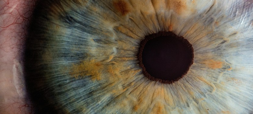 Leveling an Editorial Eye on&nbsp;AI